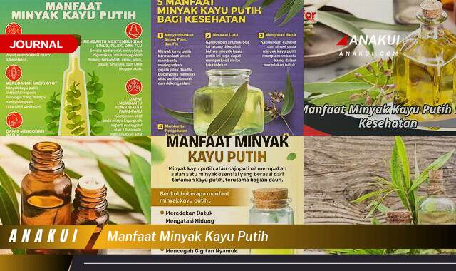 Ketahui 10 Manfaat Minyak Kayu Putih yang Tak Banyak Orang Tahu