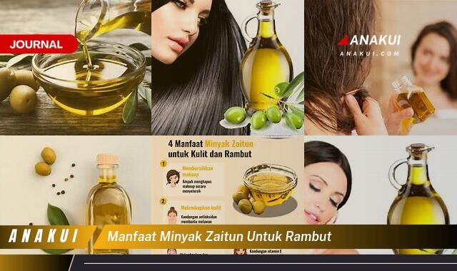 Inilah 9 Manfaat Minyak Zaitun untuk Rambut yang Wajib Kamu Ketahui