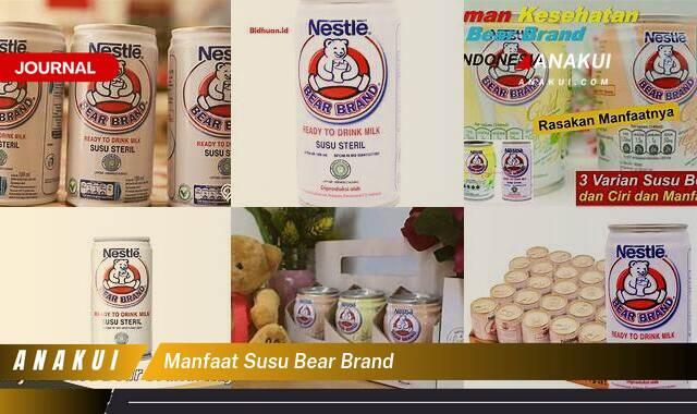 Ketahui 10 Manfaat Susu Bear Brand yang Tak Banyak Orang Tahu