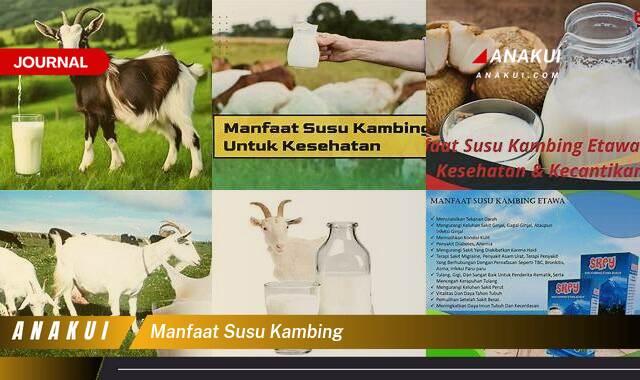 Ketahui 10 Manfaat Susu Kambing yang Tak Banyak Orang Tahu