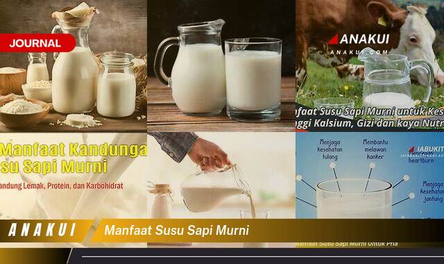 Inilah 9 Manfaat Susu Sapi Murni yang Tidak Semua Orang Tahu