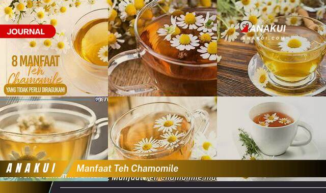 Inilah 10 Manfaat Teh Chamomile yang Wajib Kamu Intip