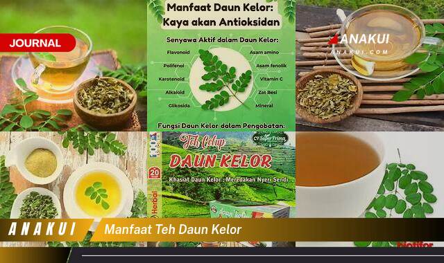 Inilah 8 Manfaat Teh Daun Kelor yang Tak Semua Orang Tahu