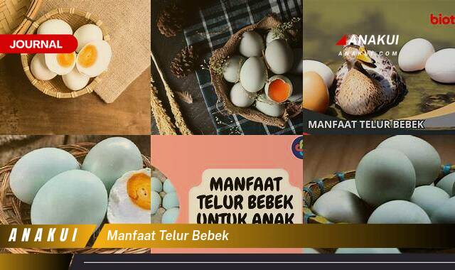 Inilah 8 Manfaat Telur Bebek yang Bikin Kamu Penasaran