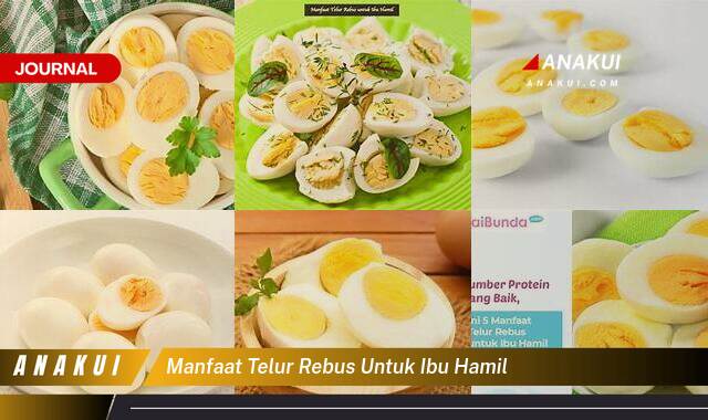 Ketahui 9 Manfaat Telur Rebus untuk Ibu Hamil yang Tak Semua Orang Tahu