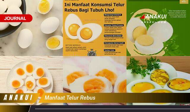 Ketahui 8 Manfaat Telur Rebus yang Wajib Kamu Ketahui