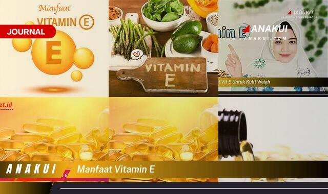 Inilah 10 Manfaat Vitamin E yang Wajib Kamu Ketahui