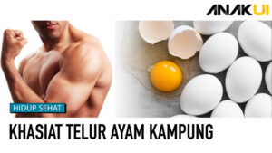 Manfaat Telur Kampung bagi Pria