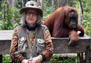 Selamat Jalan Birute Galdikas: Legenda Orang Utan yang Pilih Tanah Dayak