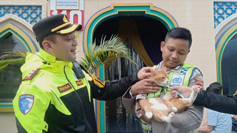 Sosok Poyici Oyen, Kucing ‘Polisi’ Viral yang Ikut Amankan Lalu Lintas Jalur Puncak Bogor